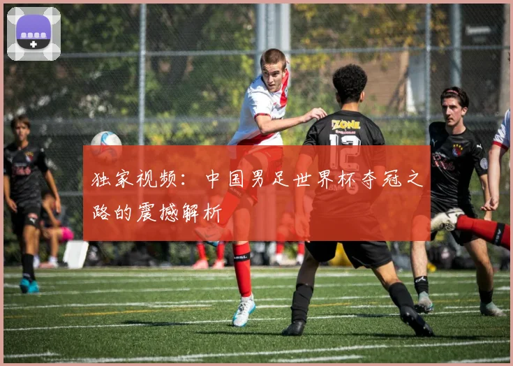 独家视频：中国男足世界杯夺冠之路的震撼解析