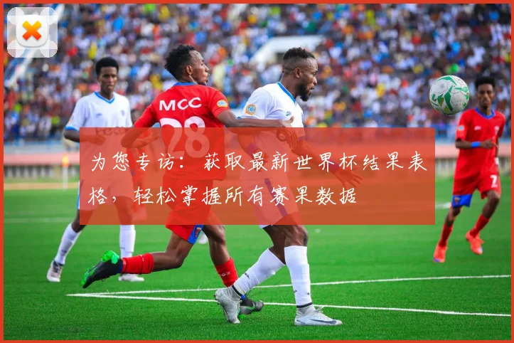 为您专访：获取最新世界杯结果表格，轻松掌握所有赛果数据