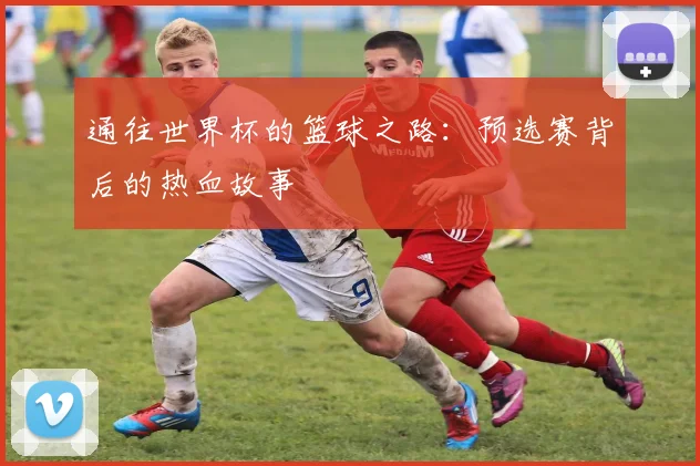 通往世界杯的篮球之路：预选赛背后的热血故事