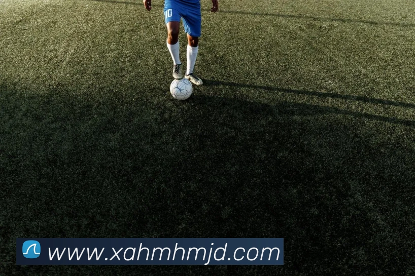 半岛网页版品牌故事